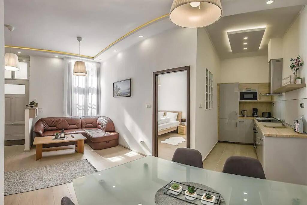 Szechenyi Renovated 2Br At Danube River 布达佩斯 外观 照片