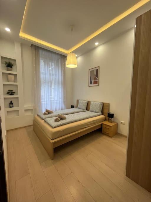 Szechenyi Renovated 2Br At Danube River 布达佩斯 外观 照片